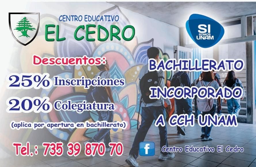 bachillerato